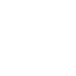 95 percent logo white