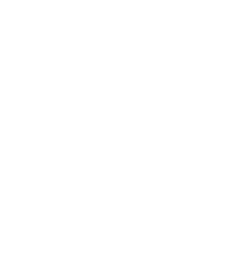 95 percent logo white