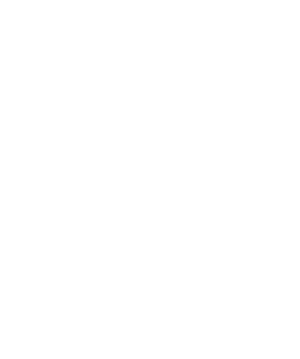 95 percent logo white
